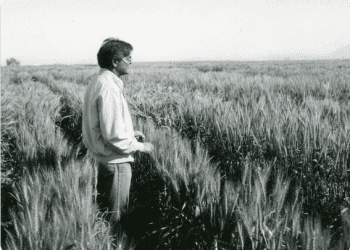 photo source:Twitter.com