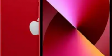 photo source:Twitter.com