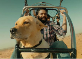 photo source:Twitter.com