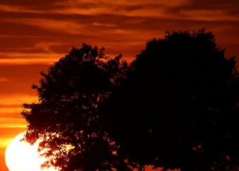 photo source:Twitter.com