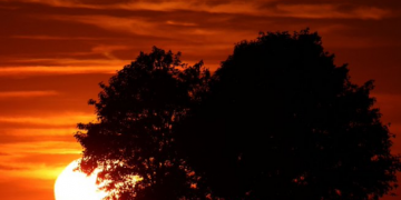 photo source:Twitter.com