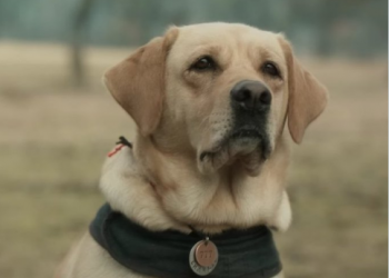 photo source:Twitter.com