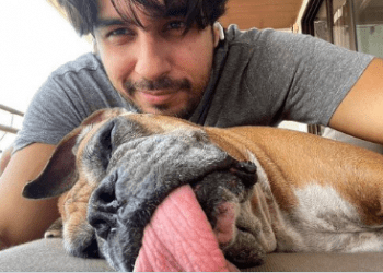 photo source:Twitter.com