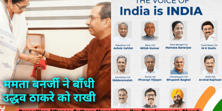 indian politics