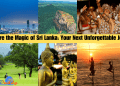 Explore the Magic of Sri Lanka Your Next Unforgettable Journey