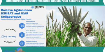 Breakthrough in Millet Research Boosts Food Security and Nutrition