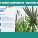 Breakthrough in Millet Research Boosts Food Security and Nutrition