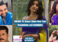 COLORS TV Actors Share New Year Resolutions and Highlights