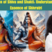 The Union of Shiva and Shakti: Understanding the Essence of Shivratri