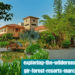 exploring-the-wilderness-the-fern-gir-forest-resorts-march-offerings.