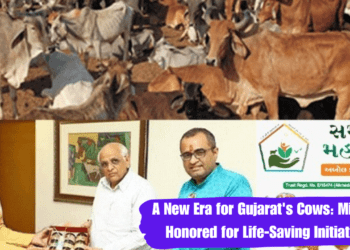 A New Era for Gujarat's Cows: Minister Honored for Life-Saving Initiatives