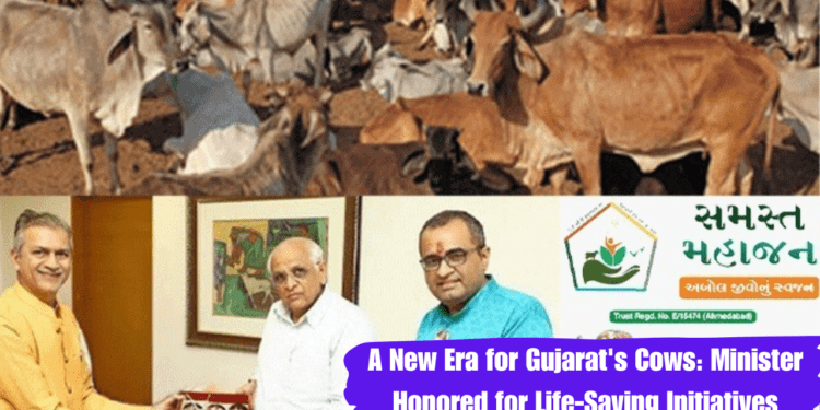 A New Era for Gujarat's Cows: Minister Honored for Life-Saving Initiatives