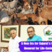 A New Era for Gujarat's Cows: Minister Honored for Life-Saving Initiatives