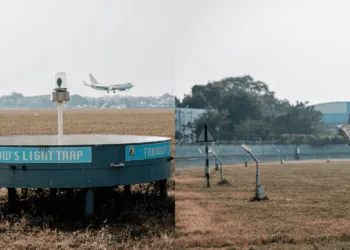 SVPI Airport Pioneers Innovative Measures to Minimise Bird Strikes