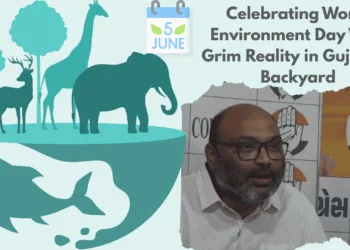 World Environment Day Reality Check Gujarat's Forests Shrinking While Government Sleeps