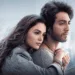 Saiyaara Fever Hits Filmmaker Sandeep Reddy Vanga