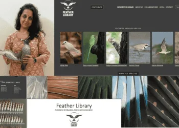 Feather Library Inspires Bird Love And Science In Gujarat