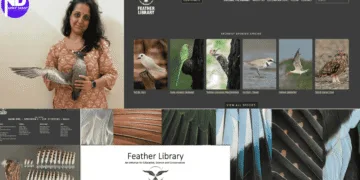 Feather Library Inspires Bird Love And Science In Gujarat