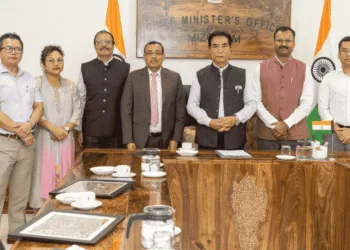 Mizoram Entrepreneurship Development Institute Brings Hope And Growth