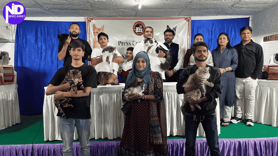 Cat Championship Show charms Ahmedabad with beauty