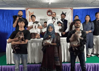 Cat Championship Show charms Ahmedabad with beauty