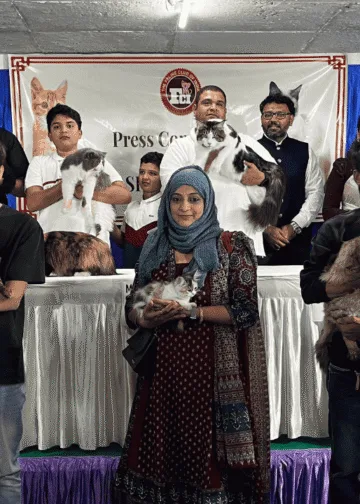 Cat Championship Show charms Ahmedabad with beauty