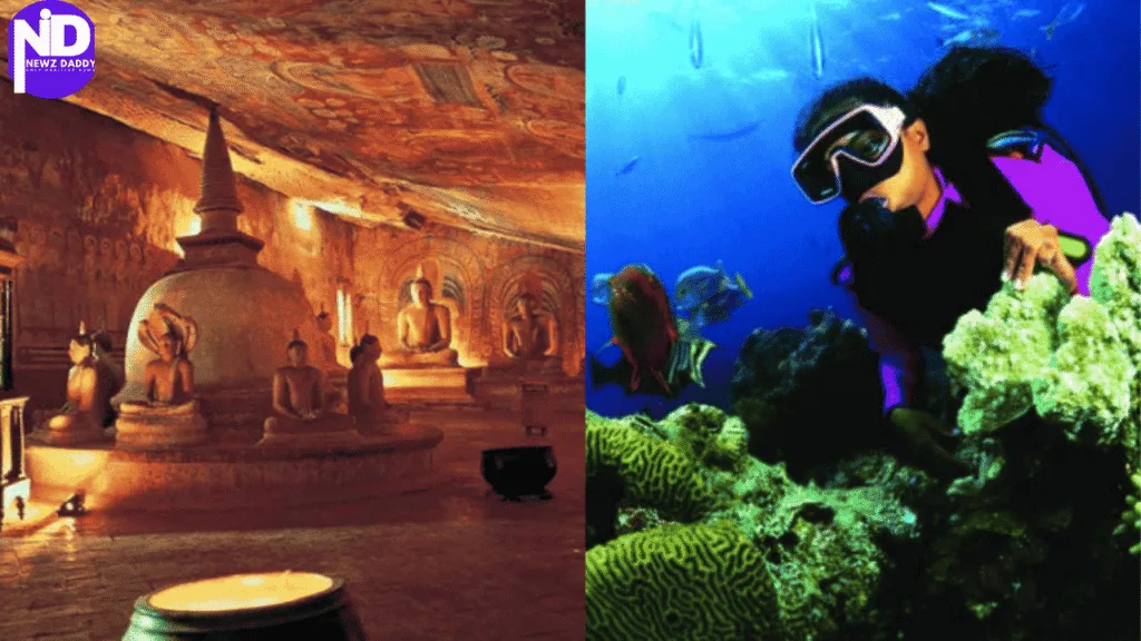 Sri Lanka Tourism Networking Evening Sparks India Travel Buzz