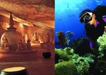 Sri Lanka Tourism Networking Evening Sparks India Travel Buzz