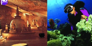 Sri Lanka Tourism Networking Evening Sparks India Travel Buzz