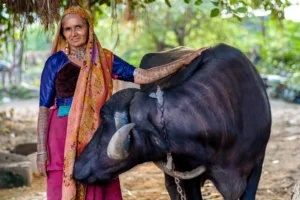 By the Shore Exhibition