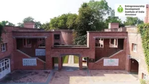 Entrepreneurship Lighting India’s Startup Path