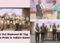 Surat Cut Diamond GI Tag Sparks Pride in India’s Gems
