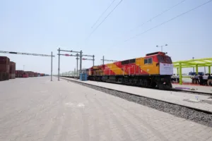 Gujarat Frozen Food Exports Create Huge Buzz in Asia