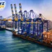 MSC Investment in Vizhinjam Port Marks Major Foreign Deal