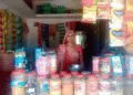 Microfinance in Gujarat Helping Women Build Small Businesses