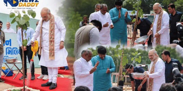 Gandhinagar Plantation Sets Guinness World Record