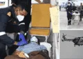 Indian Coast Guard Medical Evacuation Saves Seafarer Off Porbandar