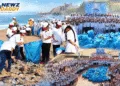 Coastal Cleanup in Porbandar Removes 700 kg From Chowpati Beach
