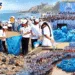 Coastal Cleanup in Porbandar Removes 700 kg From Chowpati Beach