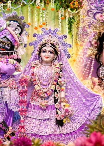 Radhashtami 2026: Maha Abhishekam Set for 7 pm at Bhadaj