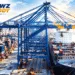 Mundra Port in Gujarat Sets New Benchmark for Container Traffic